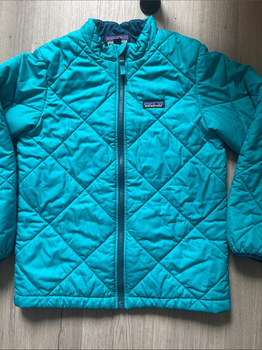 Patagonia Teal Quilted Zip Jacket